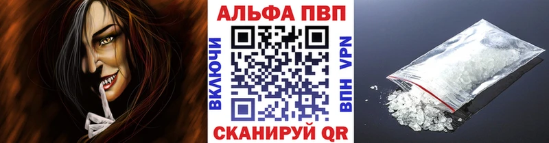 APVP СК Новоржев