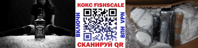 Купить закладки  Новоржев  Кокаин Fish Scale 