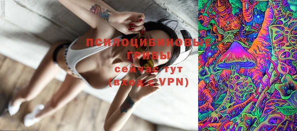 spice Козловка