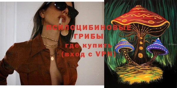 винт Козельск