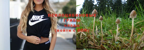 винт Козельск