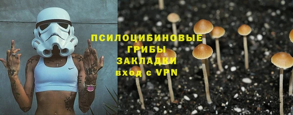 винт Козельск