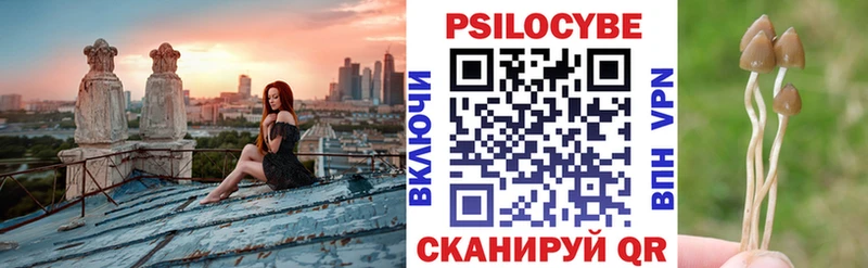 Купить  Новоржев  Галлюциногенные грибы мухоморы 